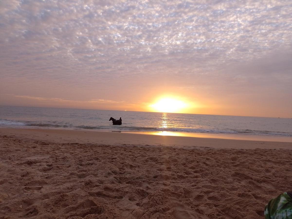 Paradisplage, 1 Minute De La Mer Saly Portudal Extérieur photo